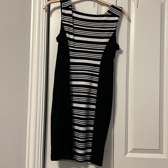 Express Dress - Picture 5 of 6